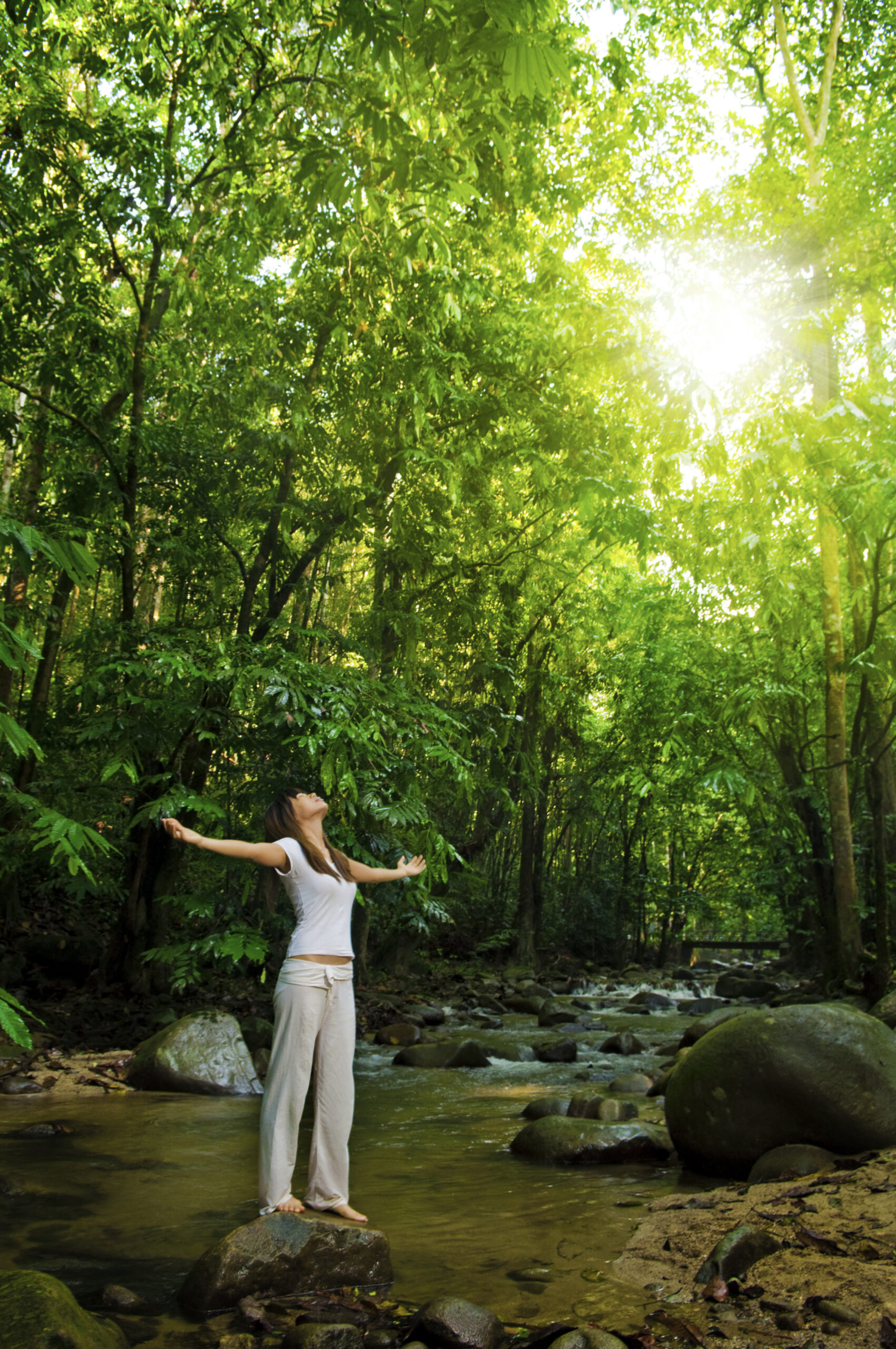 Person standing in forest sunlight